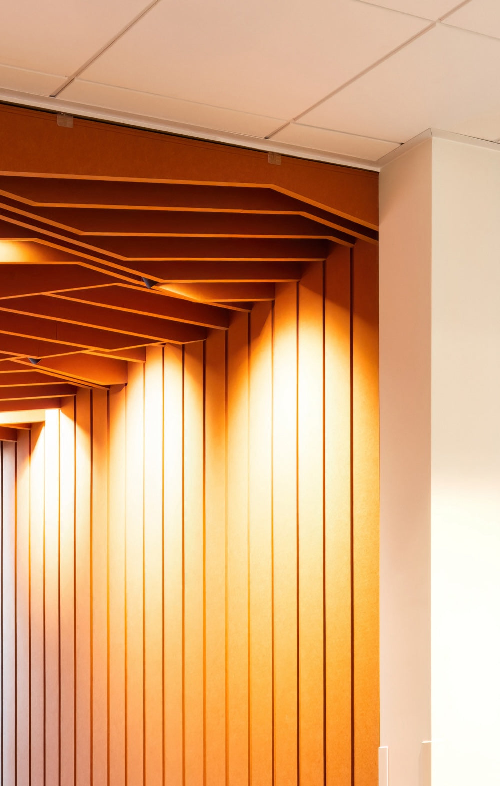 Mount_Large_FinLock_0fc3a301-1adc-4964-937b-b6d38aeb1d2f