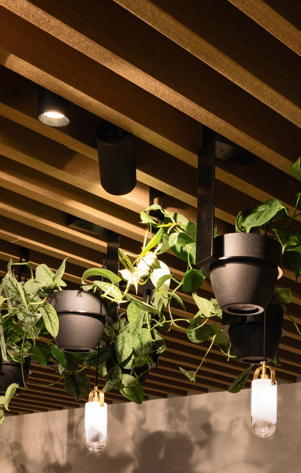 Mount_Large_FinLock_TRC