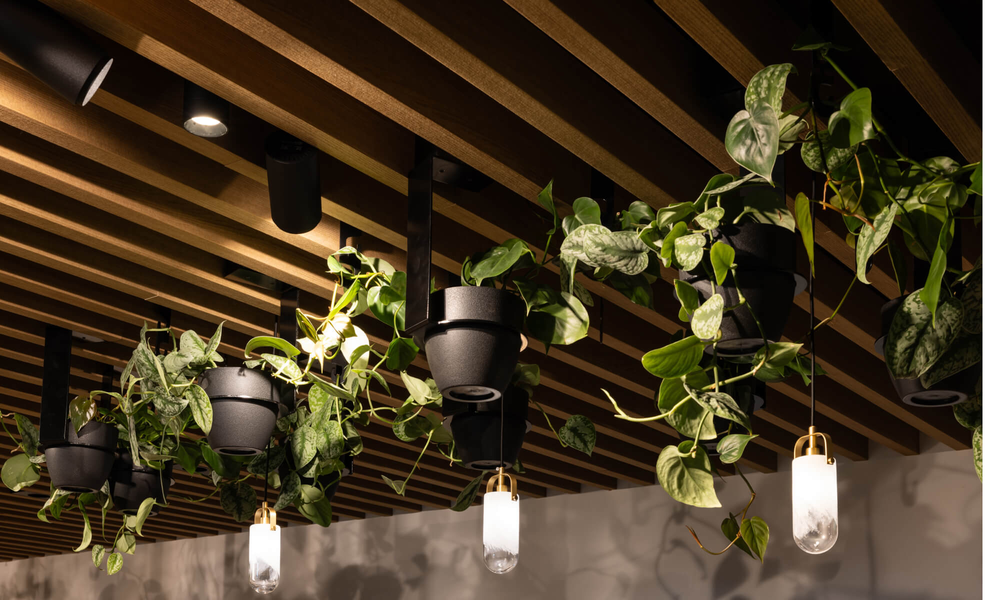 Baffle Ceilings vs Suspended Ceiling Grids: Acoustic, Aesthetic, and Cost Comparison