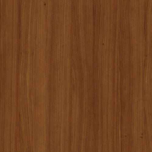 Acacia_-_132