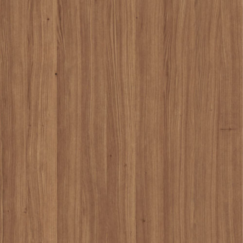 Acacia_-_141