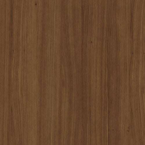 Acacia_-_142