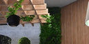 Case_Study_Orewa_Sands_2.jpg