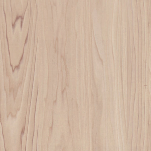 Pine_-_523_1
