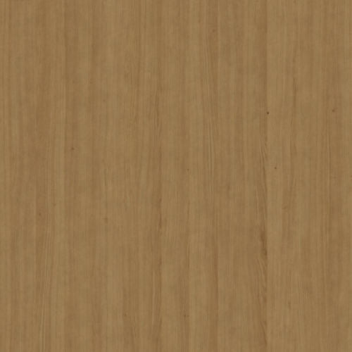 Tasmanian_Oak_-_612