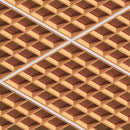 dbGrid