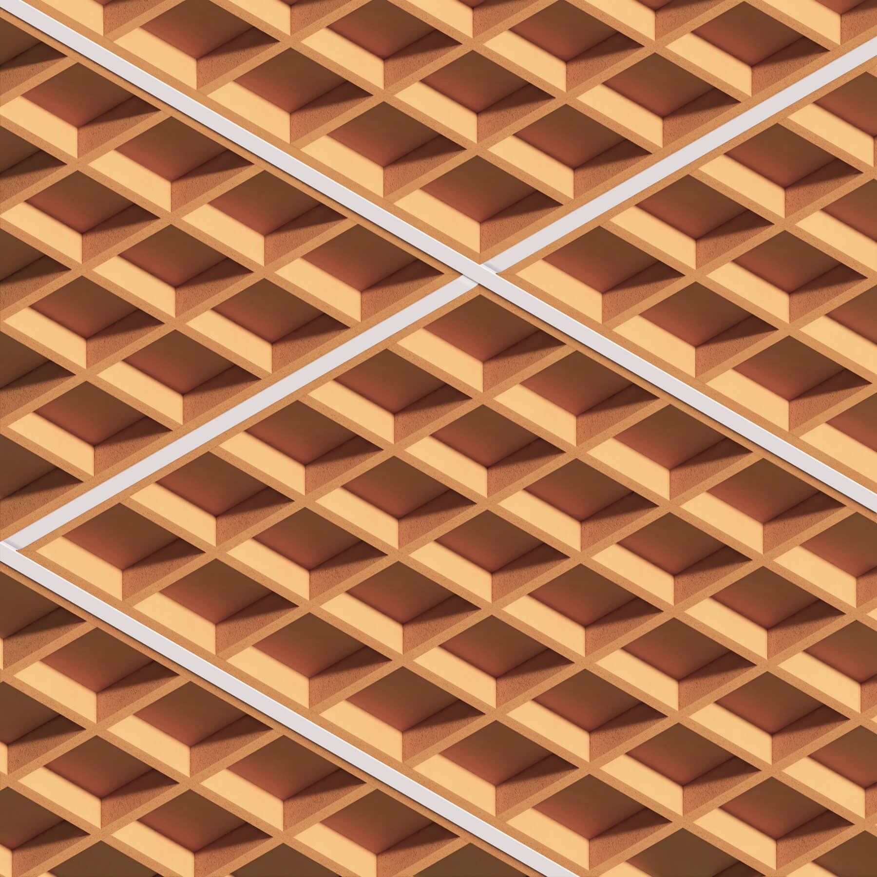 dbGrid