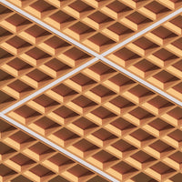 dbGrid