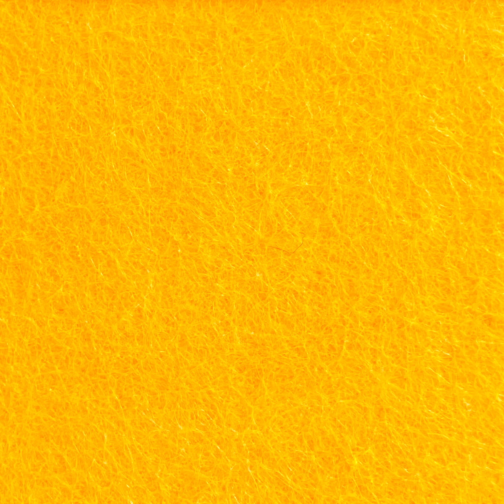 kowhai