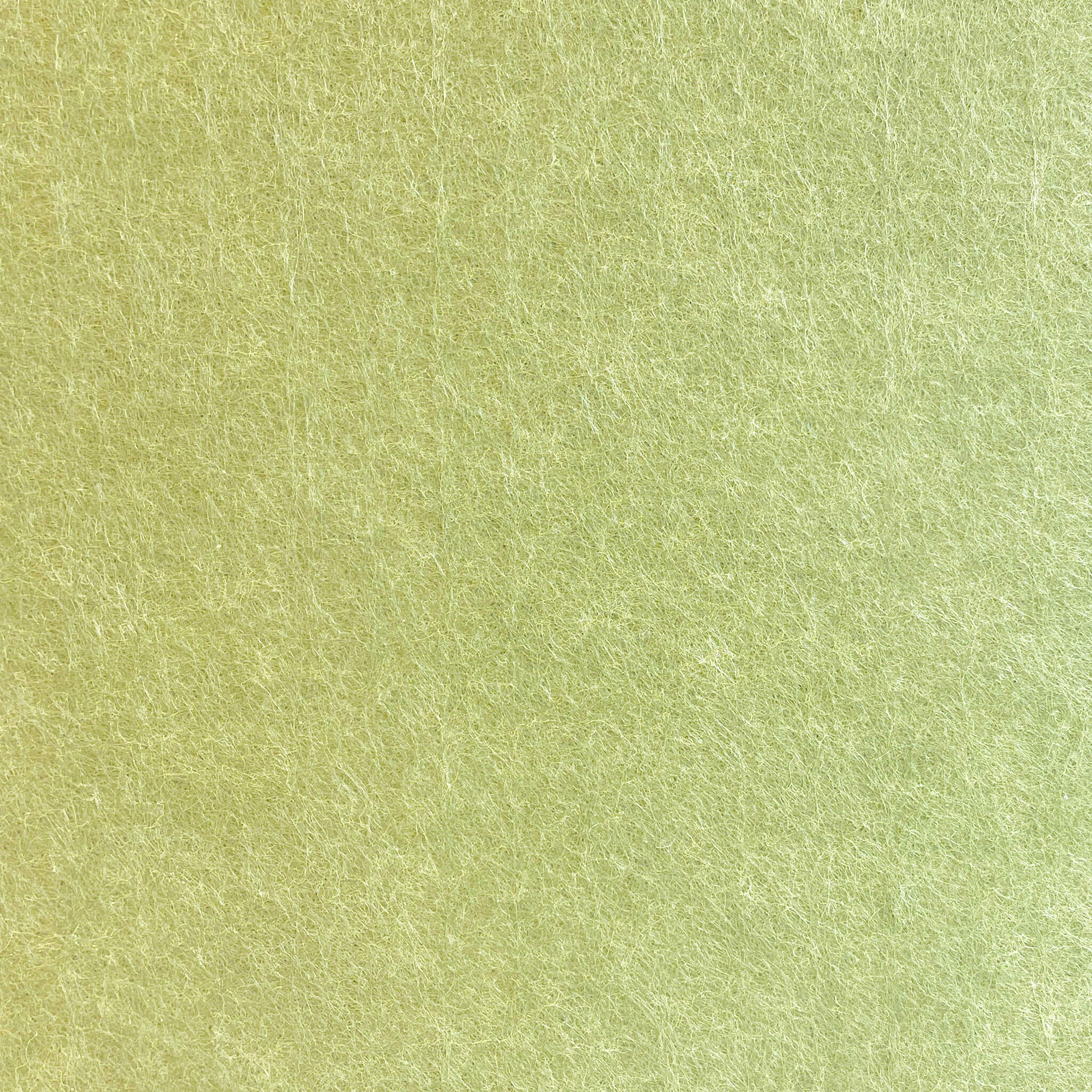 sprout